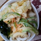 野菜のかきあげとワカメのうどん